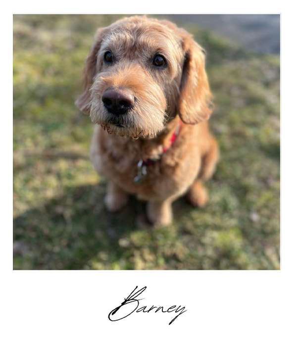 Barney von Travel with anni